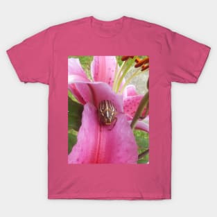 June Beetle On Lily T-Shirt